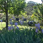 Villanova - Nature&wellness Kır Evi *