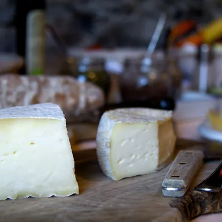 Villanova - Nature & Wellness * レヴァント