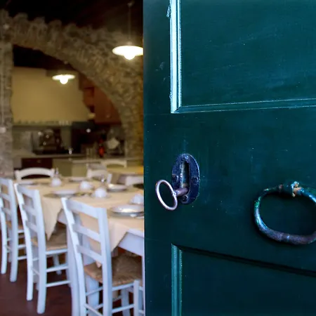 Villanova - Nature & Wellness