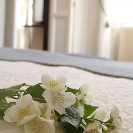 Villanova - Nature & Wellness Landhuis *