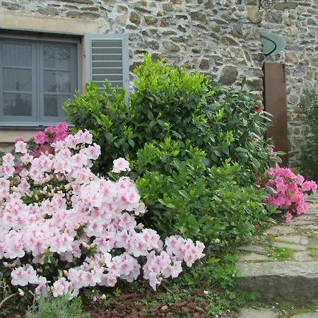 Villanova - Nature & Wellness Levanto