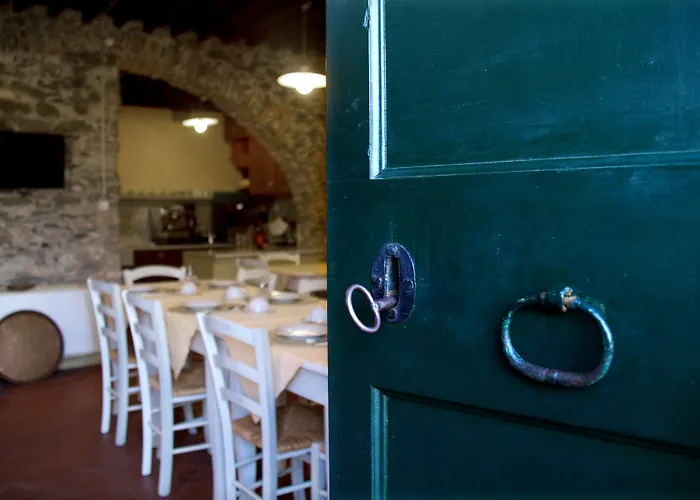 Villanova - Nature & Wellness