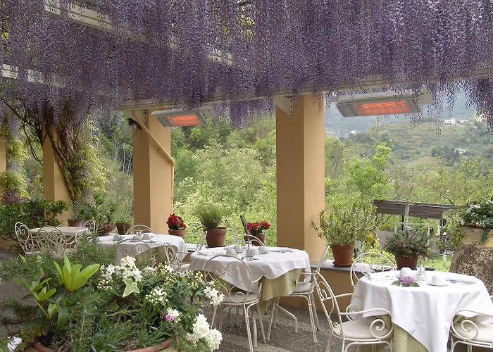 Villanova - Nature & Wellness