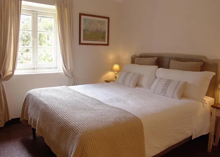 Villanova - Nature & Wellness